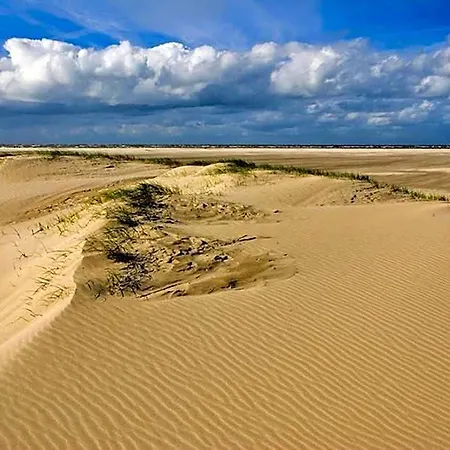 Hotel Ara Dune