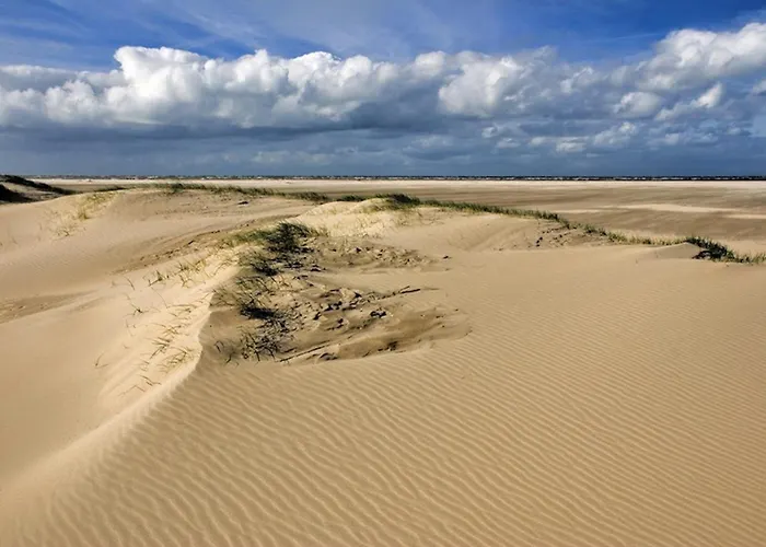 Ara Dune De Panne